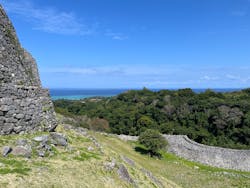 今帰仁城跡に投稿された画像（2026/2/23）