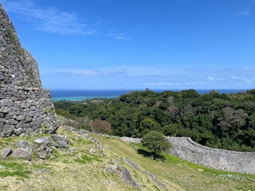 今帰仁城跡に投稿された画像（2026/2/23）
