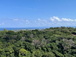 今帰仁城跡に投稿された画像（2026/2/23）