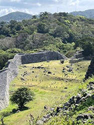 今帰仁城跡に投稿された画像（2026/2/23）