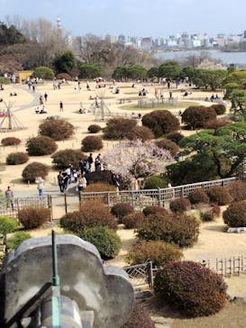 偕楽園本園に投稿された画像（2026/2/23）