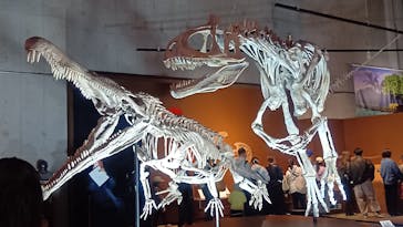 特別展「大絶滅展―生命史のビッグファイブ」に投稿された画像（2026/2/23）