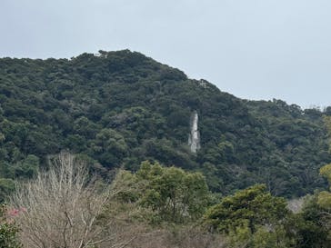 仙巌園に投稿された画像（2026/2/23）