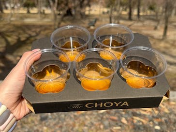 万博記念公園に投稿された画像（2026/2/23）