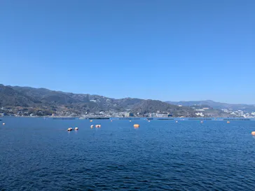 海上釣り 堀太公望に投稿された画像（2026/2/23）