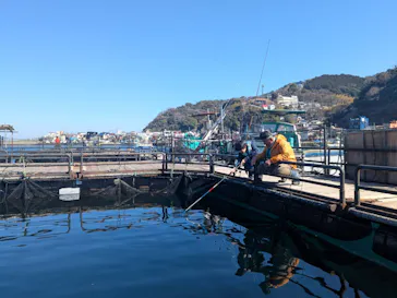 海上釣り 堀太公望に投稿された画像（2026/2/23）