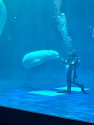 島根県立 しまね海洋館に投稿された画像（2026/2/23）