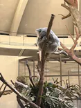 多摩動物公園に投稿された画像（2026/2/23）