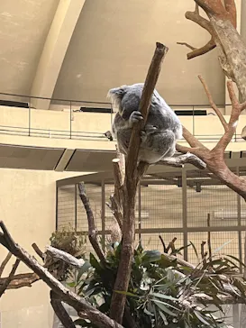 多摩動物公園に投稿された画像（2026/2/23）
