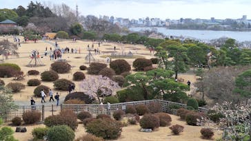 偕楽園本園に投稿された画像（2026/2/23）