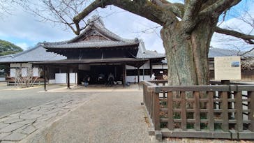 偕楽園本園に投稿された画像（2026/2/23）