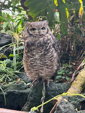 伊豆シャボテン動物公園に投稿された画像（2026/2/23）