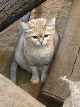 こども動物自然公園（埼玉県公園緑地協会）に投稿された画像（2026/2/23）