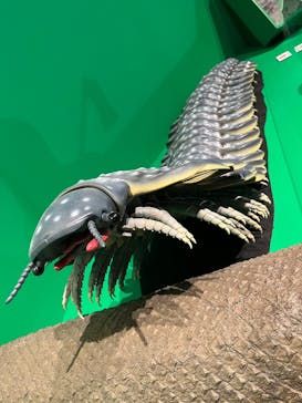 特別展「大絶滅展―生命史のビッグファイブ」に投稿された画像（2026/2/23）