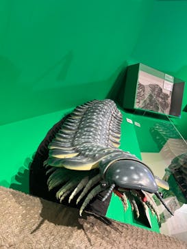 特別展「大絶滅展―生命史のビッグファイブ」に投稿された画像（2026/2/23）