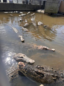 べっぷ地獄めぐりに投稿された画像（2026/2/23）