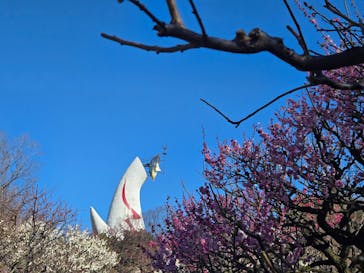 万博記念公園に投稿された画像（2026/2/23）