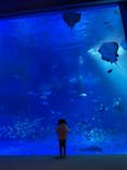 のとじま水族館に投稿された画像（2026/2/23）