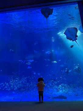 のとじま水族館に投稿された画像（2026/2/23）