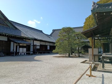 元離宮二条城に投稿された画像（2026/2/23）