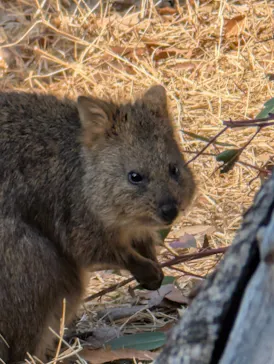 こども動物自然公園（埼玉県公園緑地協会）に投稿された画像（2026/2/23）