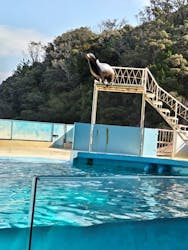 下田海中水族館に投稿された画像（2026/2/23）