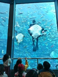 下田海中水族館に投稿された画像（2026/2/23）