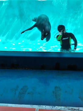 下田海中水族館に投稿された画像（2026/2/23）