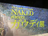 NAKED meets ガウディ展に投稿された画像（2026/2/23）