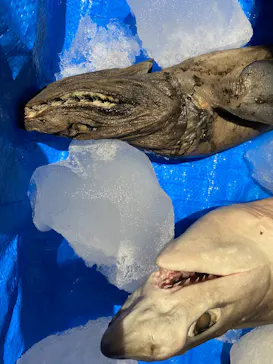 葛西臨海水族園に投稿された画像（2026/2/23）