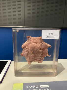 葛西臨海水族園に投稿された画像（2026/2/23）