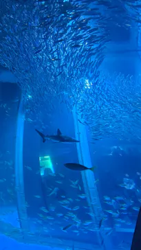 横浜・八景島シーパラダイスに投稿された画像（2026/2/23）