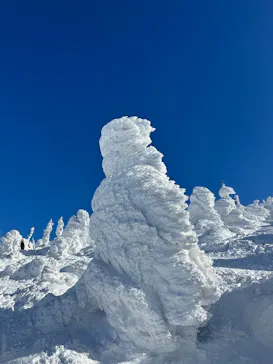 蔵王温泉スキー場に投稿された画像（2026/2/23）