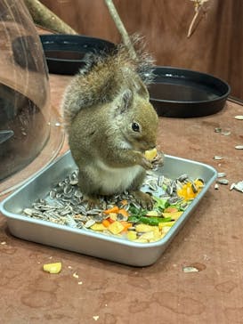シン・マリホ水族館に投稿された画像（2026/2/23）