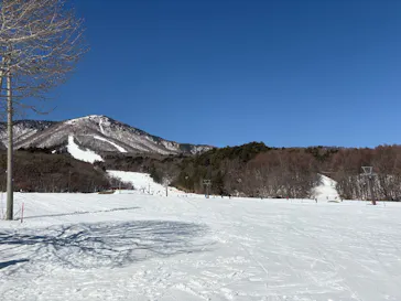 いいづなリゾートスキー場に投稿された画像（2026/2/23）
