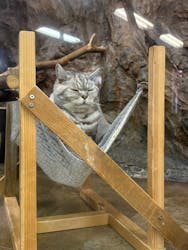 那須どうぶつ王国に投稿された画像（2026/2/23）