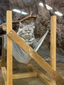 那須どうぶつ王国に投稿された画像（2026/2/23）