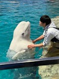 名古屋港水族館に投稿された画像（2026/2/23）