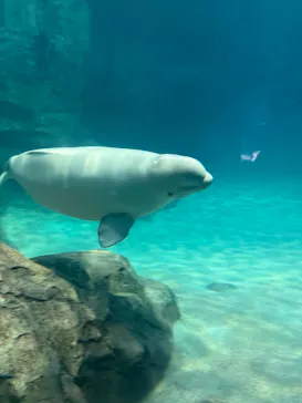 名古屋港水族館に投稿された画像（2026/2/23）