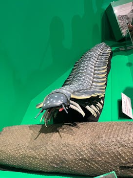 恩賜上野動物園に投稿された画像（2026/2/23）