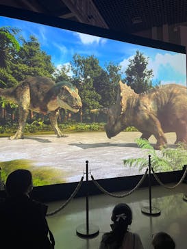 恩賜上野動物園に投稿された画像（2026/2/23）