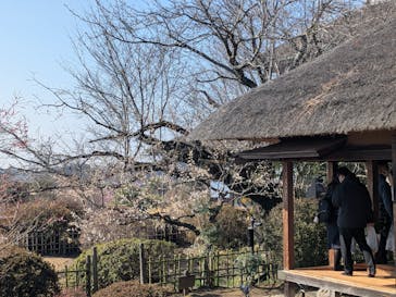 偕楽園本園に投稿された画像（2026/2/23）