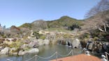 陽光美術館・日本庭園 慧洲園に投稿された画像（2026/2/23）