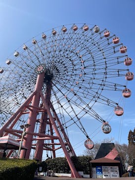 みろくの里に投稿された画像（2026/2/23）