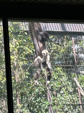 恩賜上野動物園に投稿された画像（2026/2/23）
