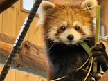 伊豆シャボテン動物公園に投稿された画像（2026/2/23）