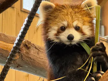 伊豆シャボテン動物公園に投稿された画像（2026/2/23）