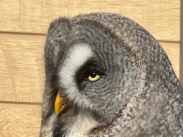 伊豆シャボテン動物公園に投稿された画像（2026/2/23）