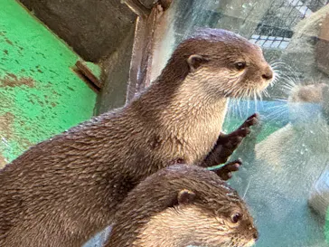 伊豆シャボテン動物公園に投稿された画像（2026/2/23）
