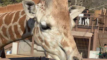 伊豆シャボテン動物公園に投稿された画像（2026/2/23）